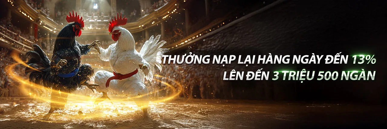 Sân đấu đá gà trực tuyến 98win1 đầy kịch tính